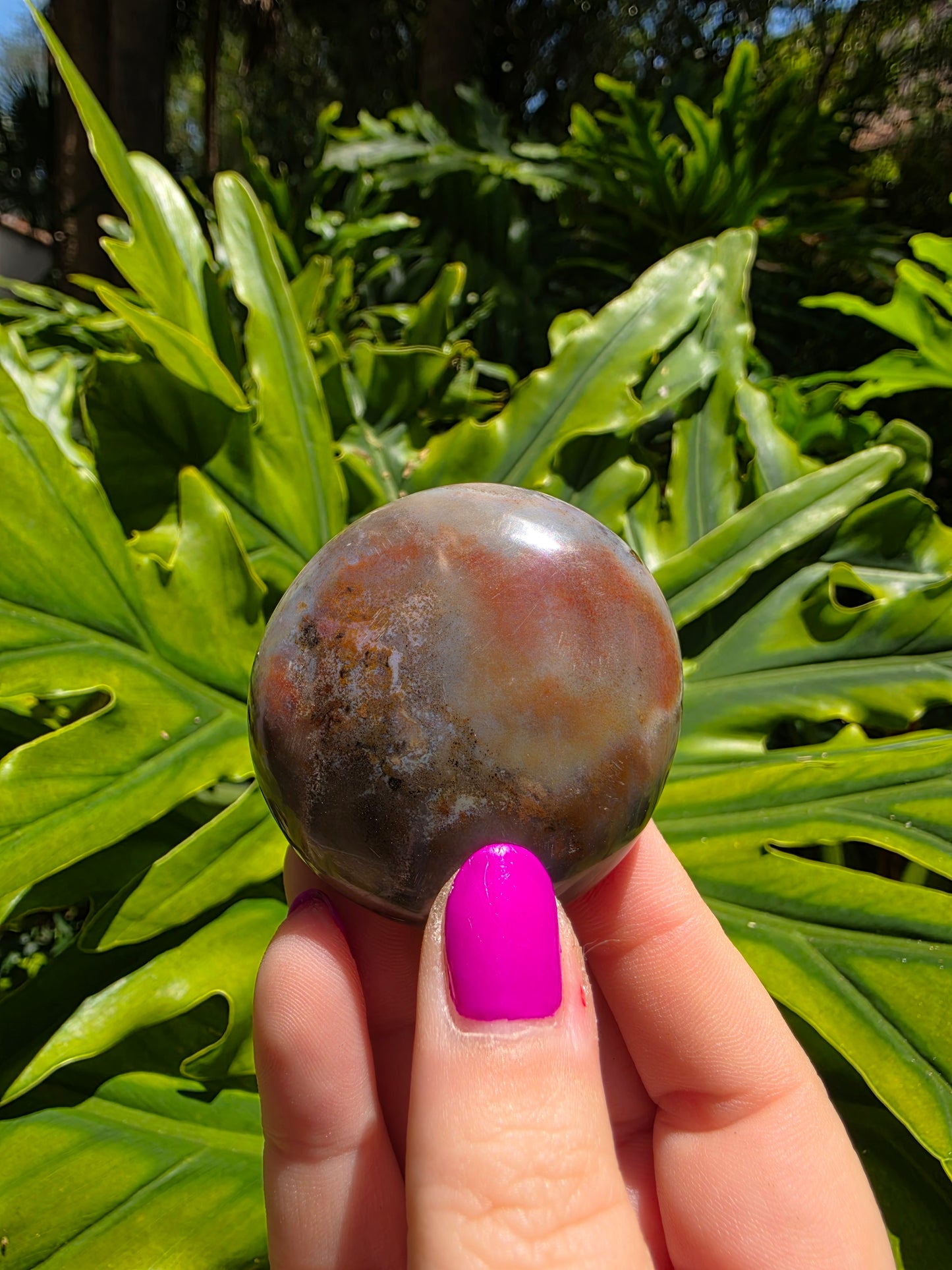 Ocean Jasper Palm Stone [I]