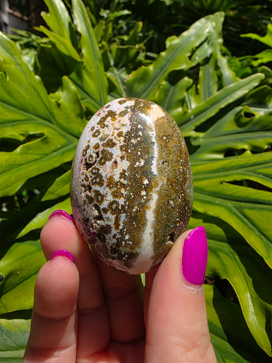 Ocean Jasper Palm Stone [J]