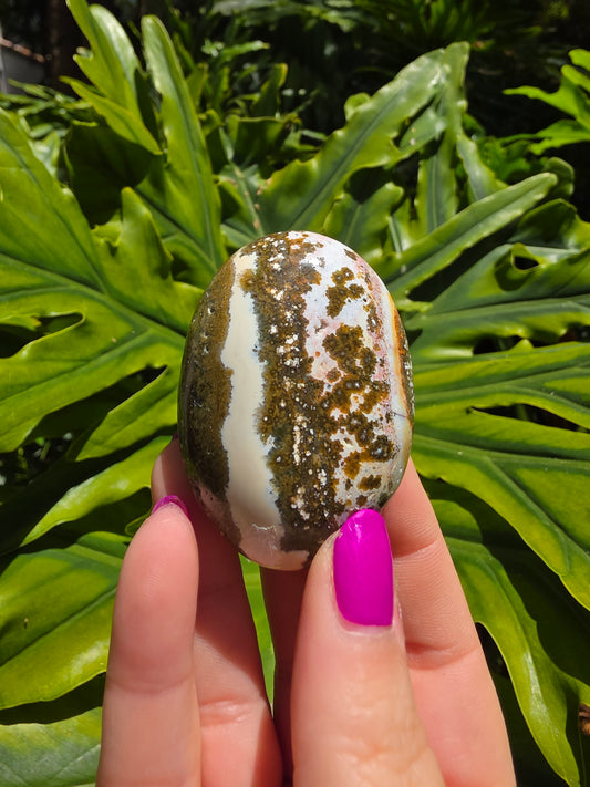 Ocean Jasper Palm Stone • Option J