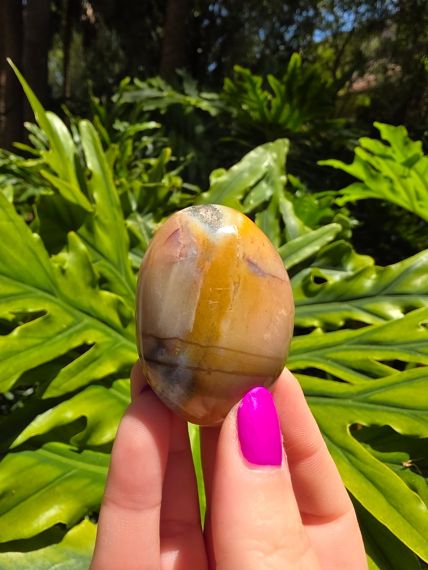 Ocean Jasper Palm Stone [K]