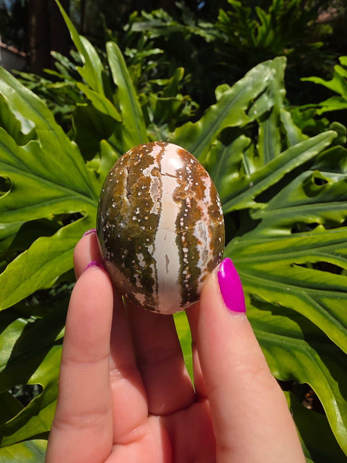 Ocean Jasper Palm Stone [M]