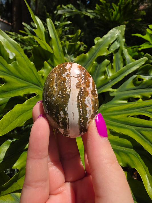 Ocean Jasper Palm Stone [M]