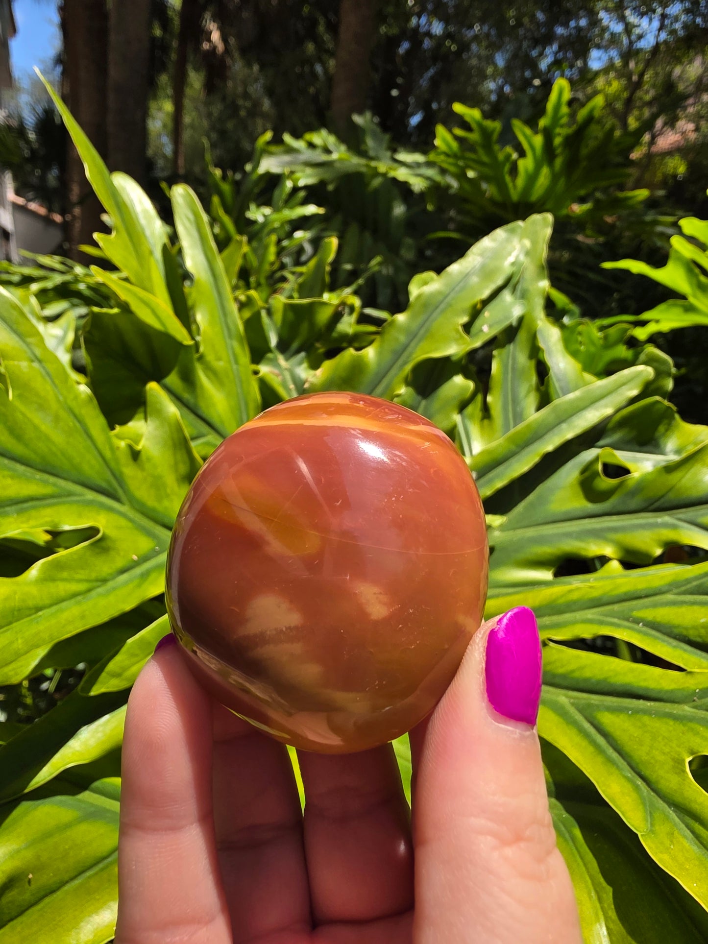 Ocean Jasper Palm Stone [N]