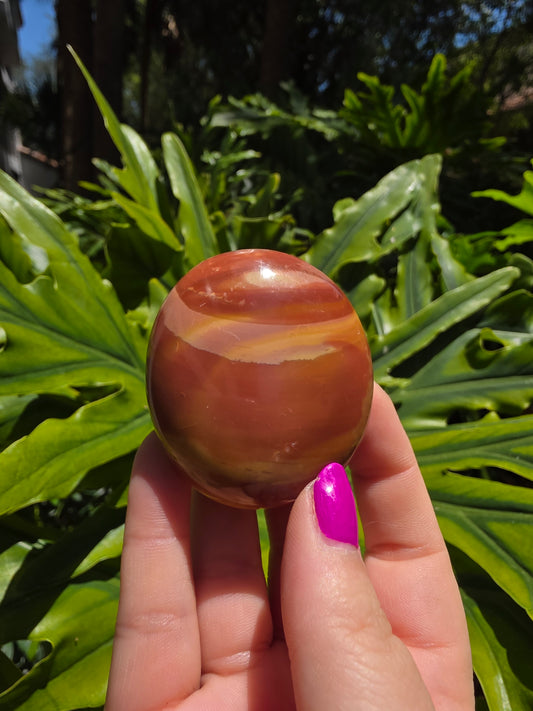 Ocean Jasper Palm Stone • Option N