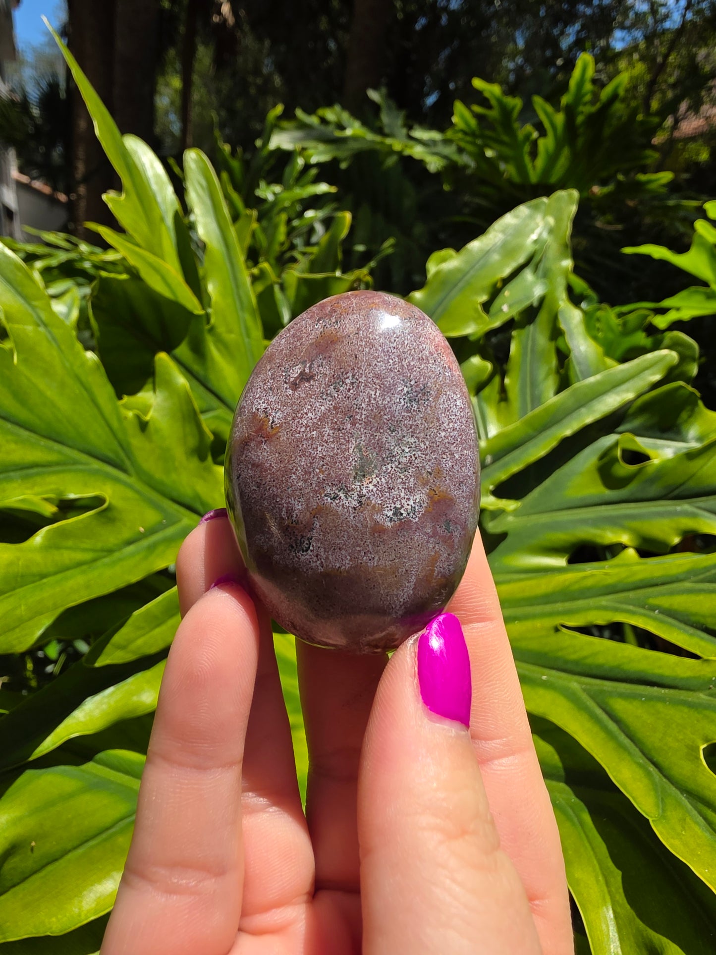 Ocean Jasper Palm Stone [O]