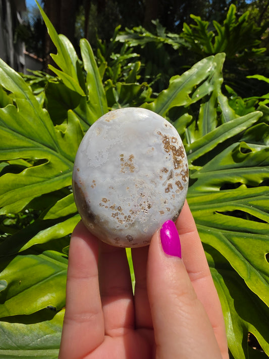 Ocean Jasper Palm Stone • Option P