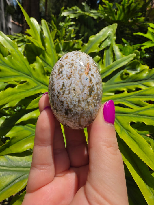 Ocean Jasper Palm Stone [Q]