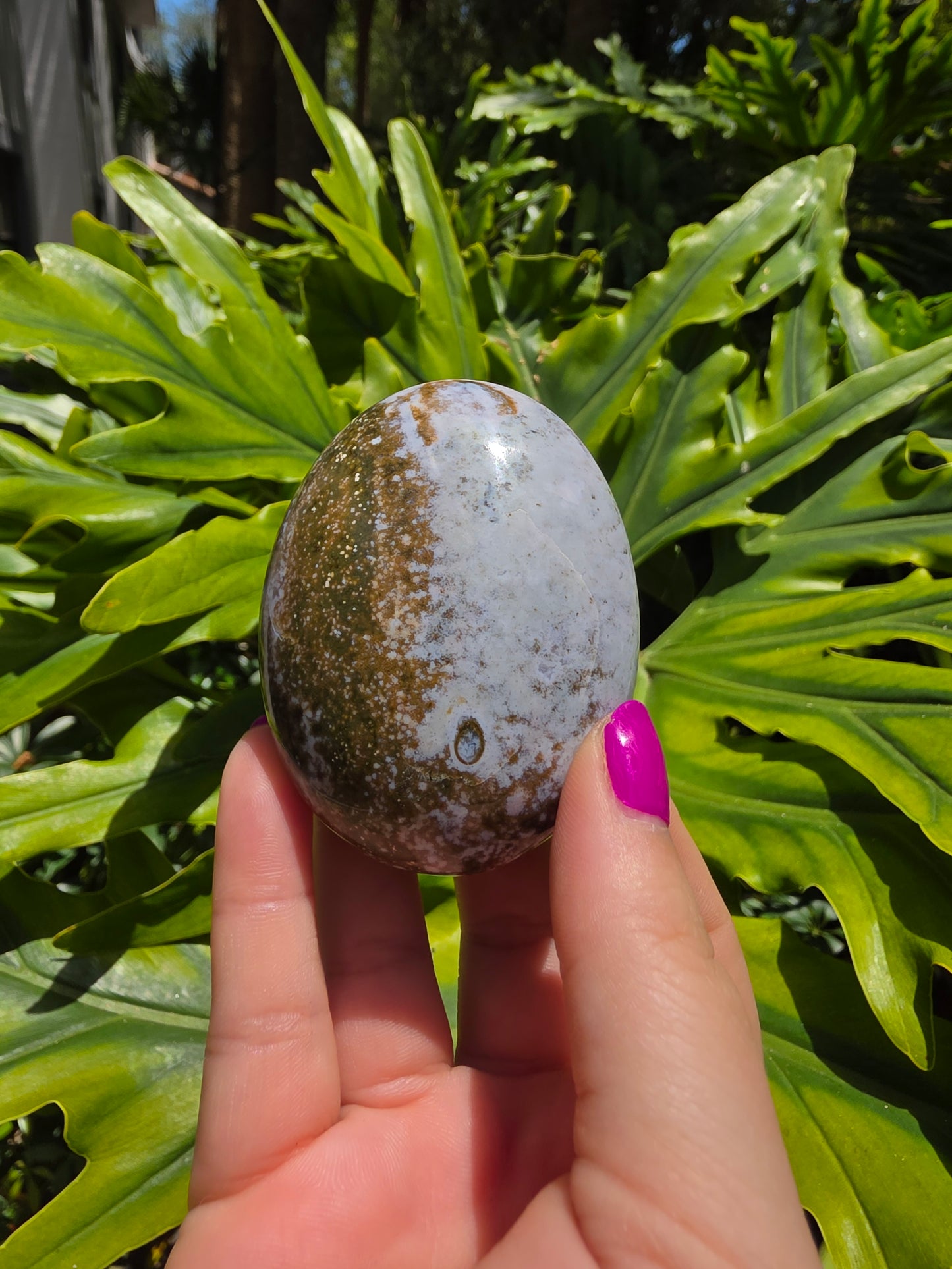 Ocean Jasper Palm Stone [R]