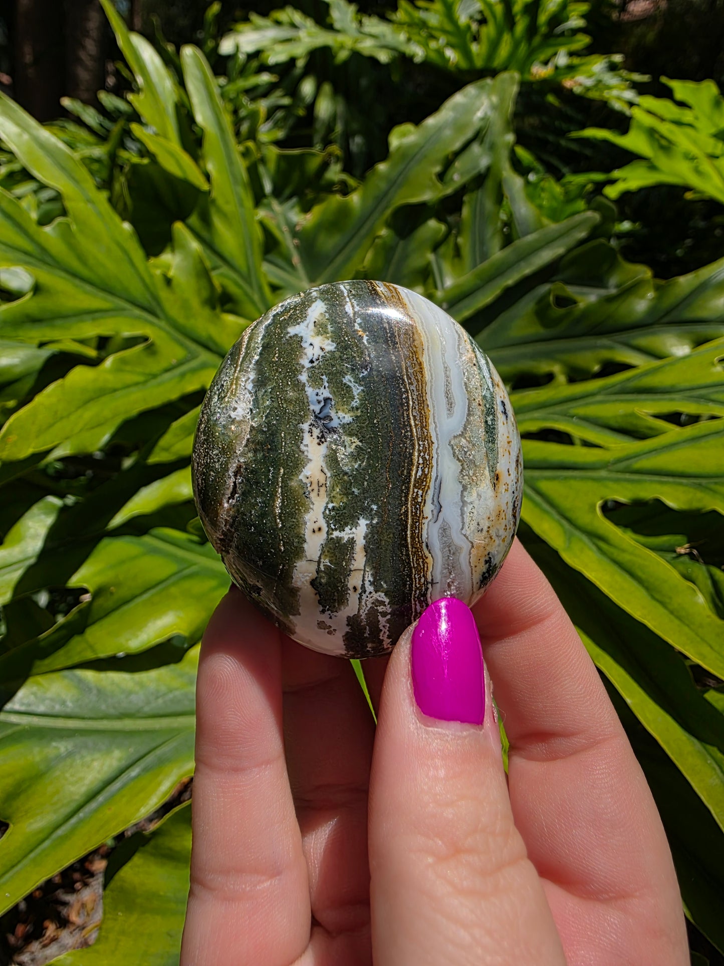 Ocean Jasper Palm Stone [T]