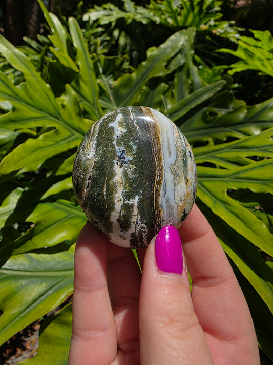 Ocean Jasper Palm Stone • Option T