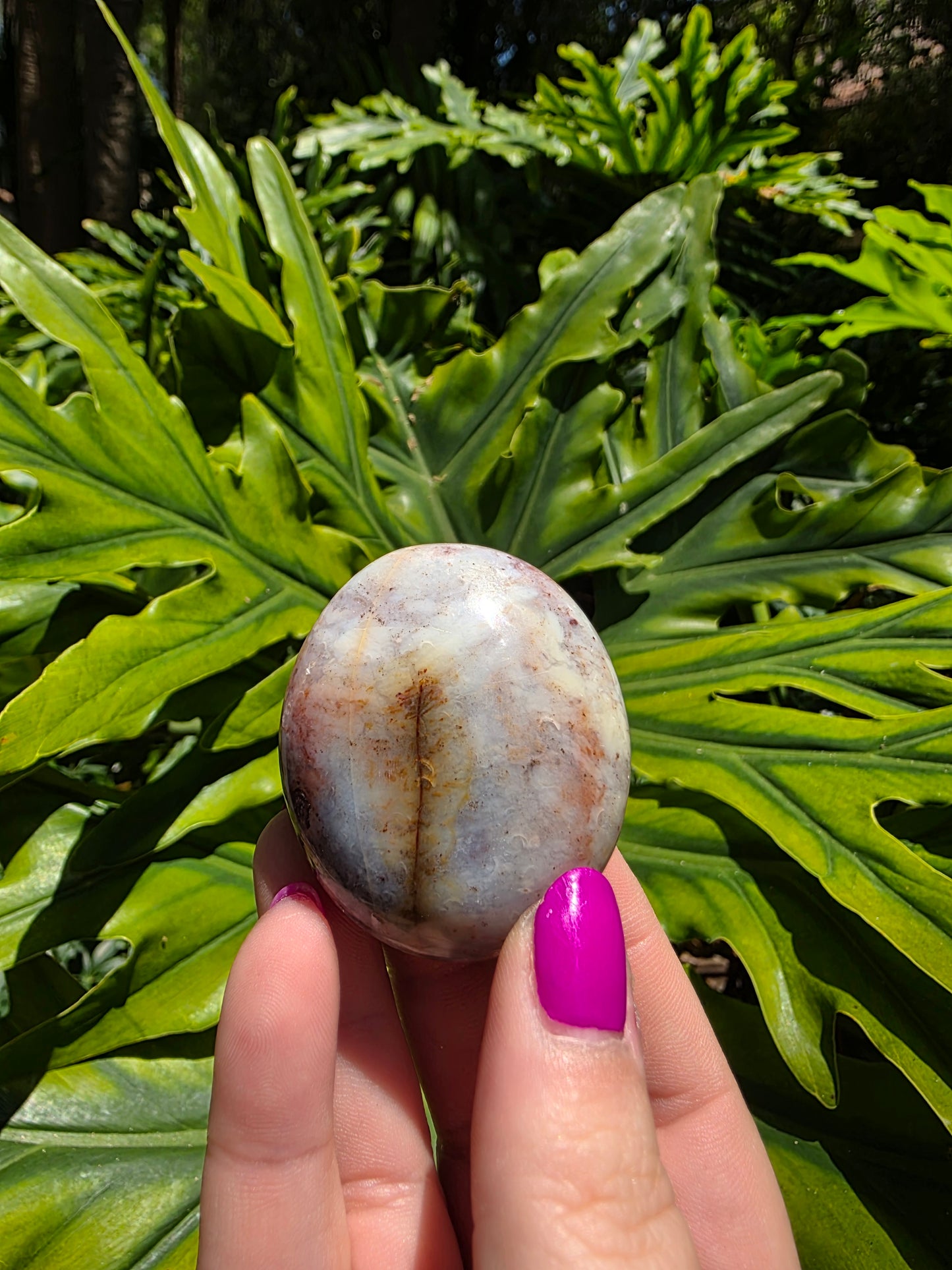 Ocean Jasper Palm Stone [U]
