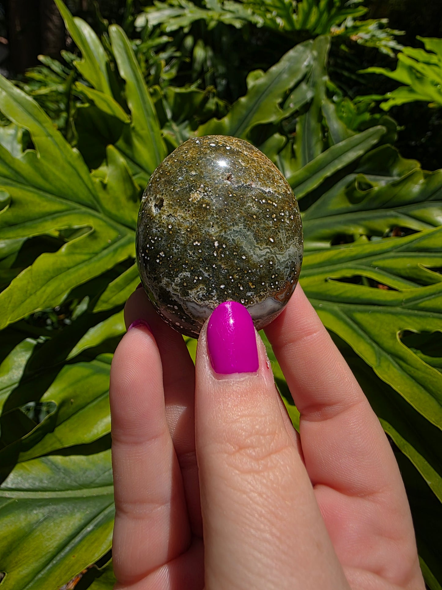 Ocean Jasper Palm Stone [V]