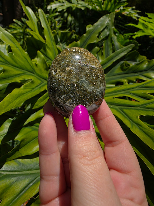 Ocean Jasper Palm Stone • Option V