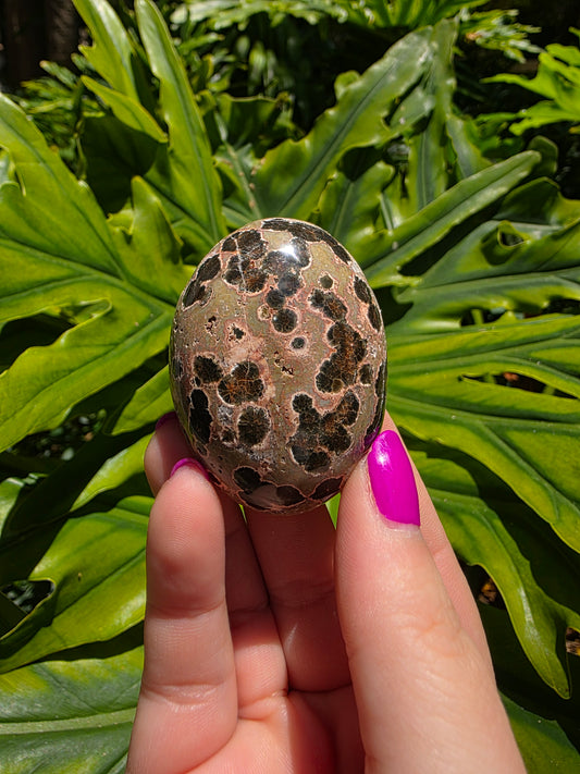 Ocean Jasper Palm Stone [W]