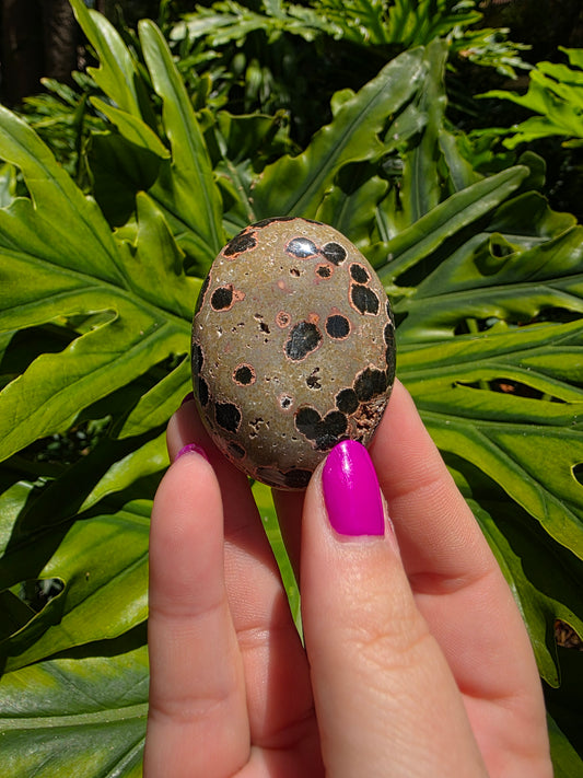 Ocean Jasper Palm Stone • Option W