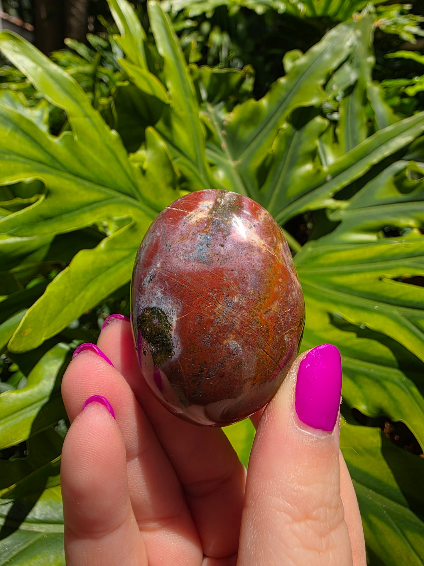 Ocean Jasper Palm Stone [X]