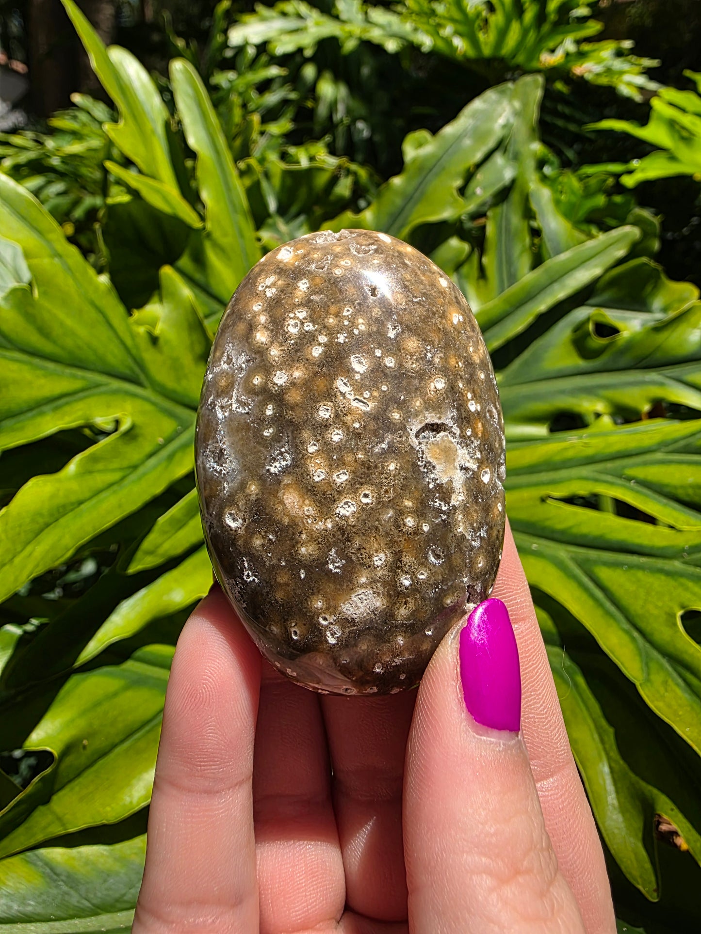 Ocean Jasper Palm Stone [Y]