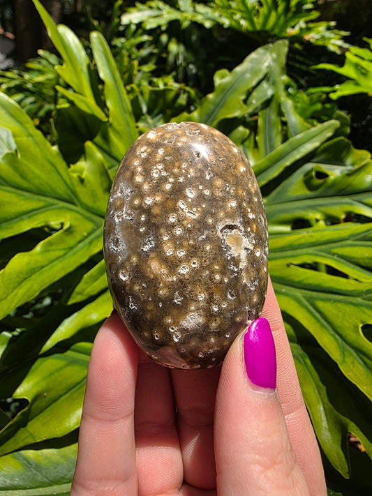 Ocean Jasper Palm Stone [Y]