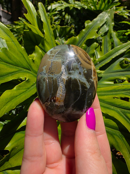 Ocean Jasper Palm Stone [Z]