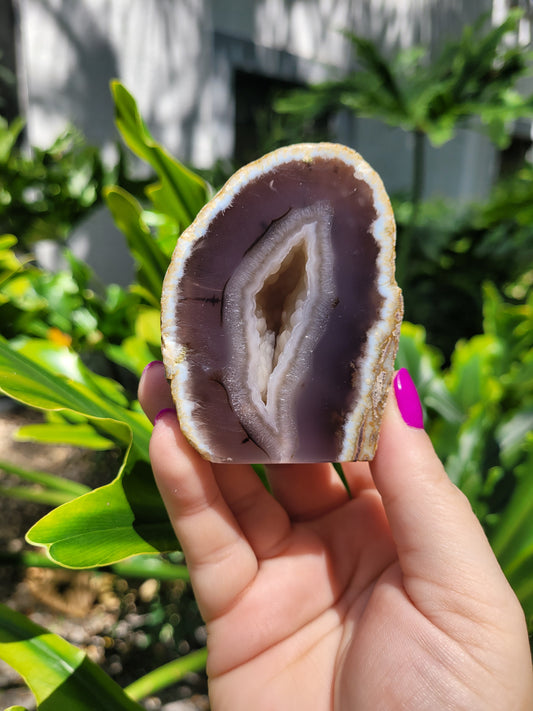 Polished Agate Geode with Druzy [C]