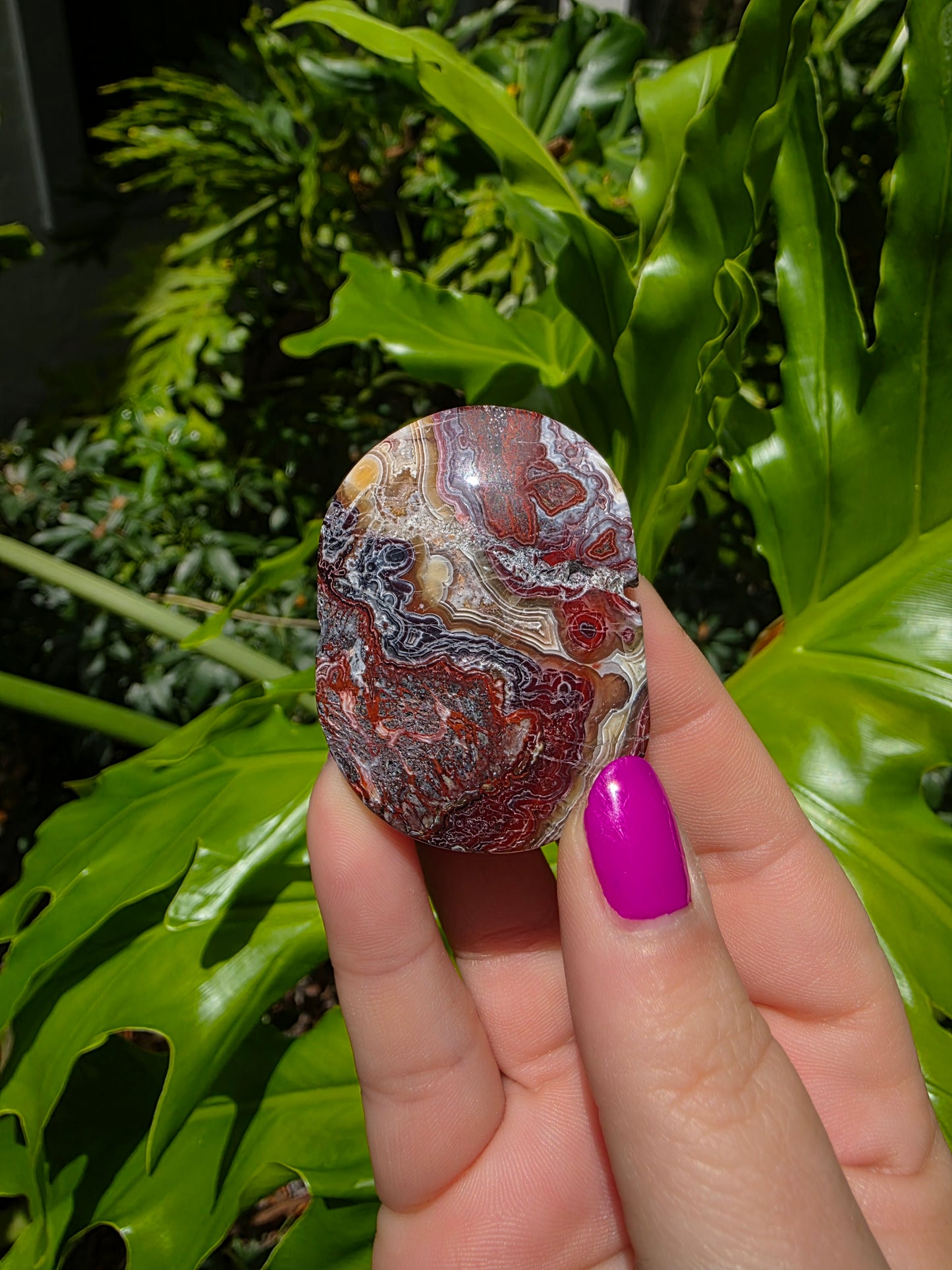 Red Mexican Crazy Lace Agate Palm Stone [A]