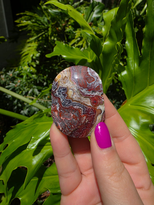 Red Mexican Crazy Lace Agate Palm Stone [A]
