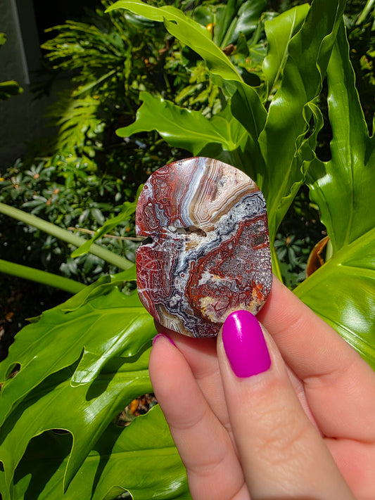 Red Crazy Lace Agate Palm Stone • Option A