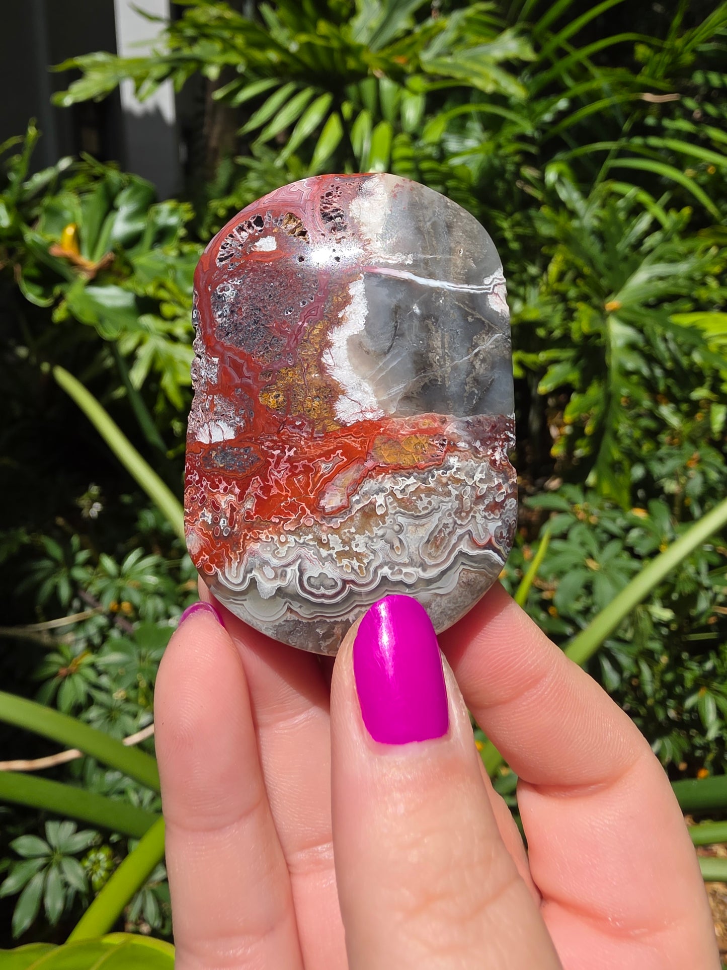 Red Mexican Crazy Lace Agate Palm Stone [AA]