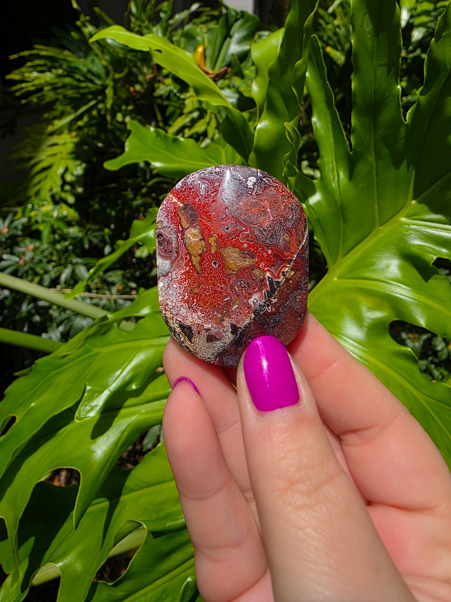 Red Mexican Crazy Lace Agate Palm Stone [B]