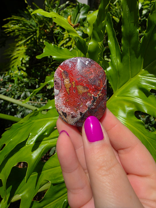 Red Mexican Crazy Lace Agate Palm Stone [B]