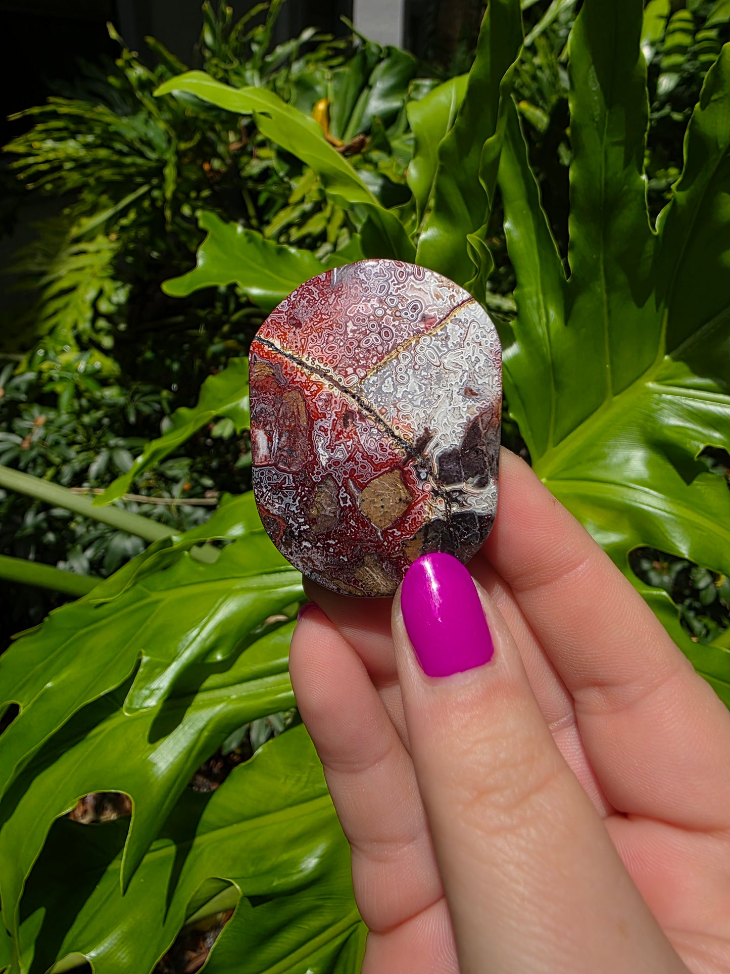 Red Mexican Crazy Lace Agate Palm Stone [B]