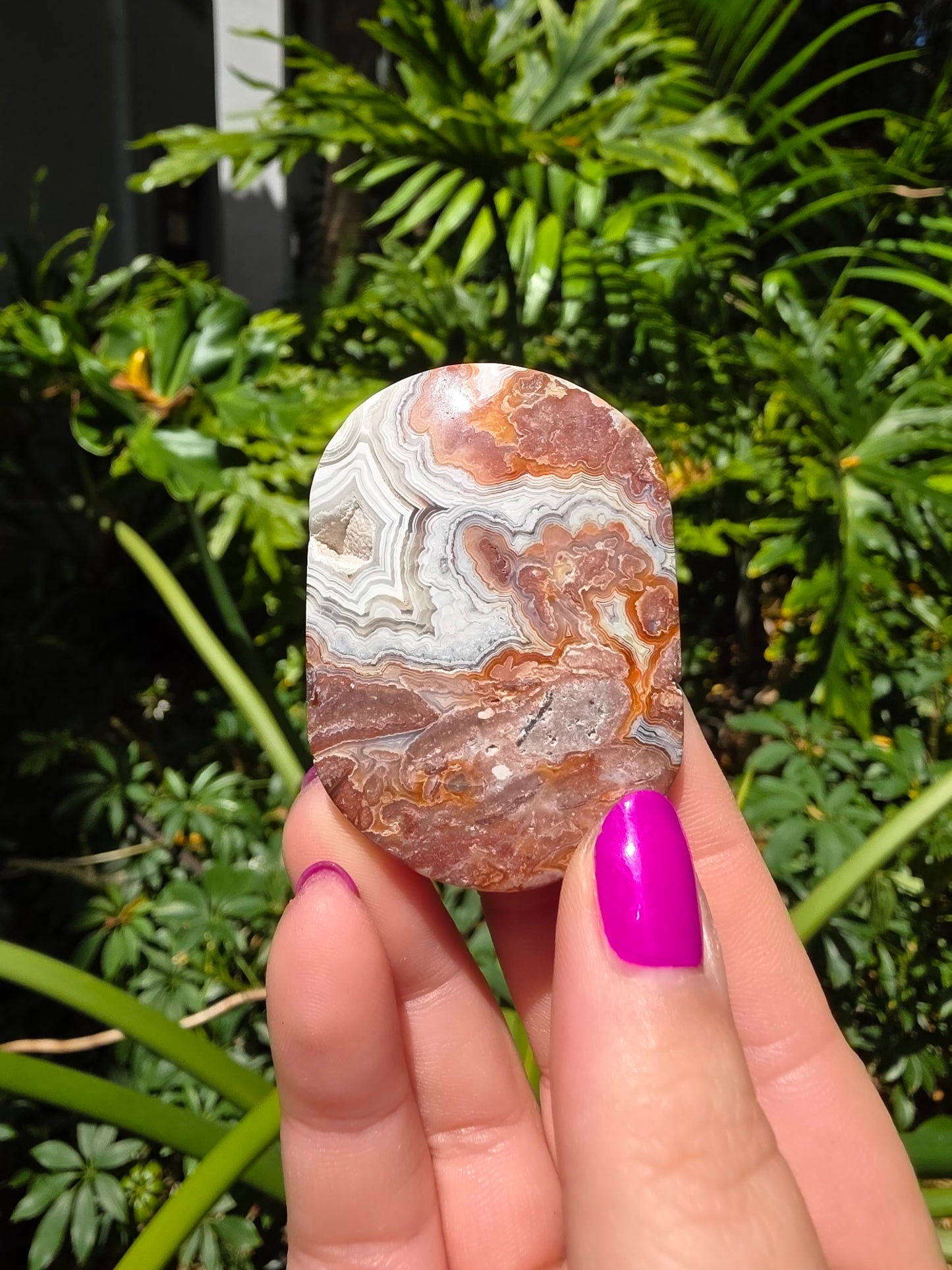 Red Mexican Crazy Lace Agate Palm Stone [BB]