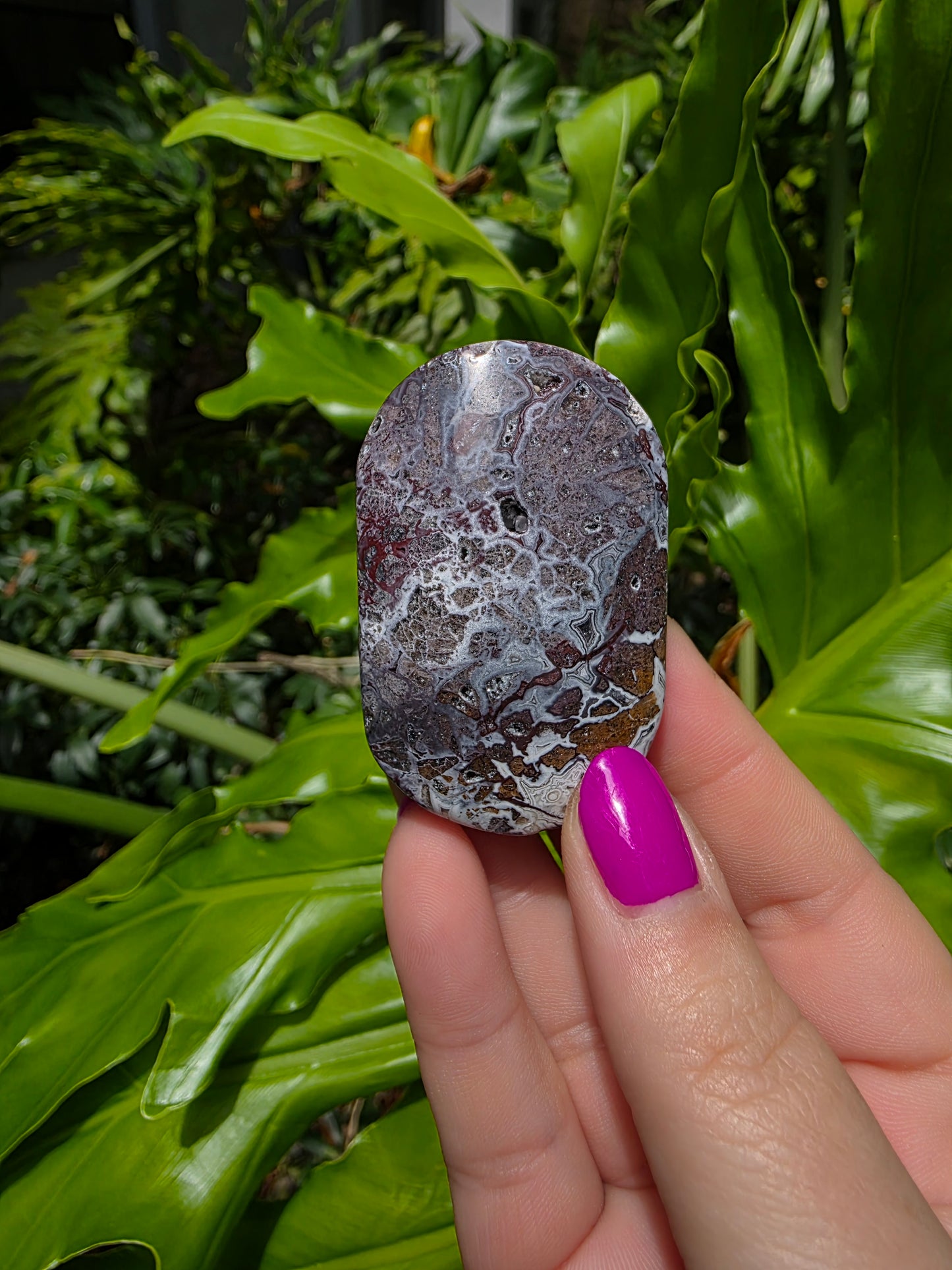 Red Mexican Crazy Lace Agate Palm Stone [C]