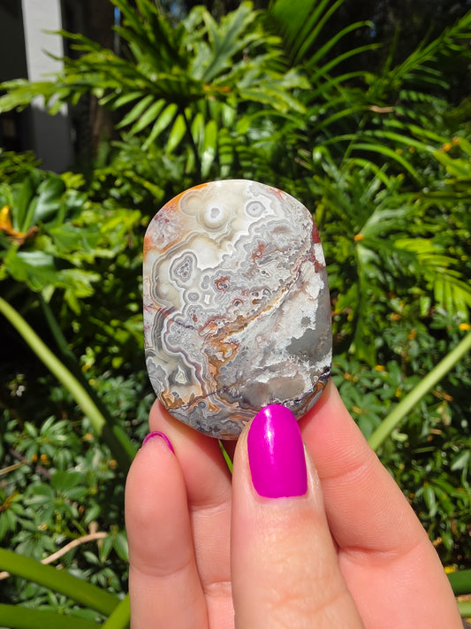 Red Mexican Crazy Lace Agate Palm Stone [CC]