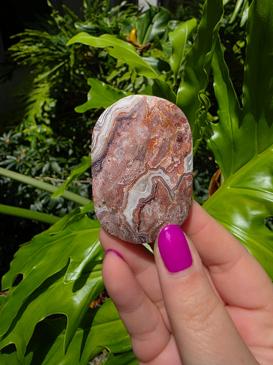 Red Mexican Crazy Lace Agate Palm Stone [D]