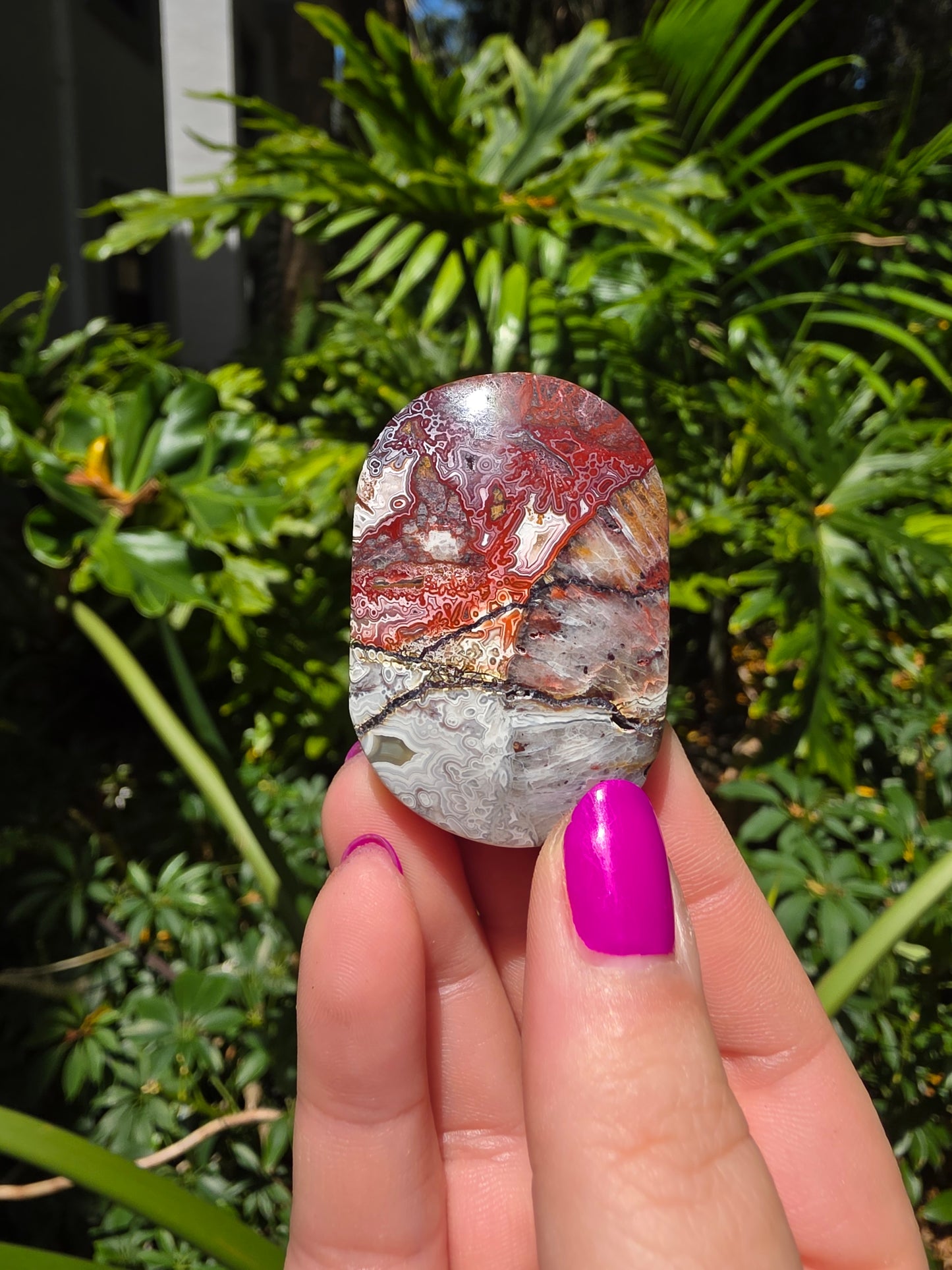 Red Mexican Crazy Lace Agate Palm Stone [DD]