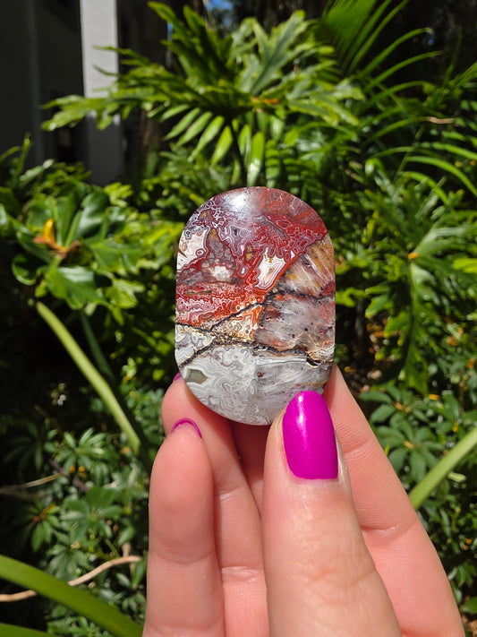 Red Mexican Crazy Lace Agate Palm Stone [DD]