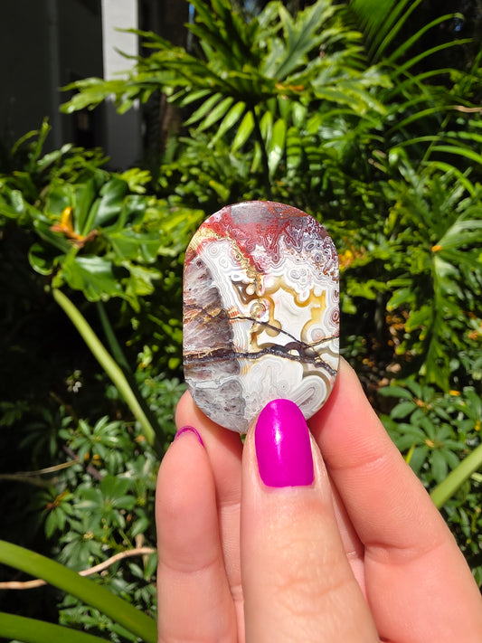 Red Crazy Lace Agate Palm Stone • Option DD