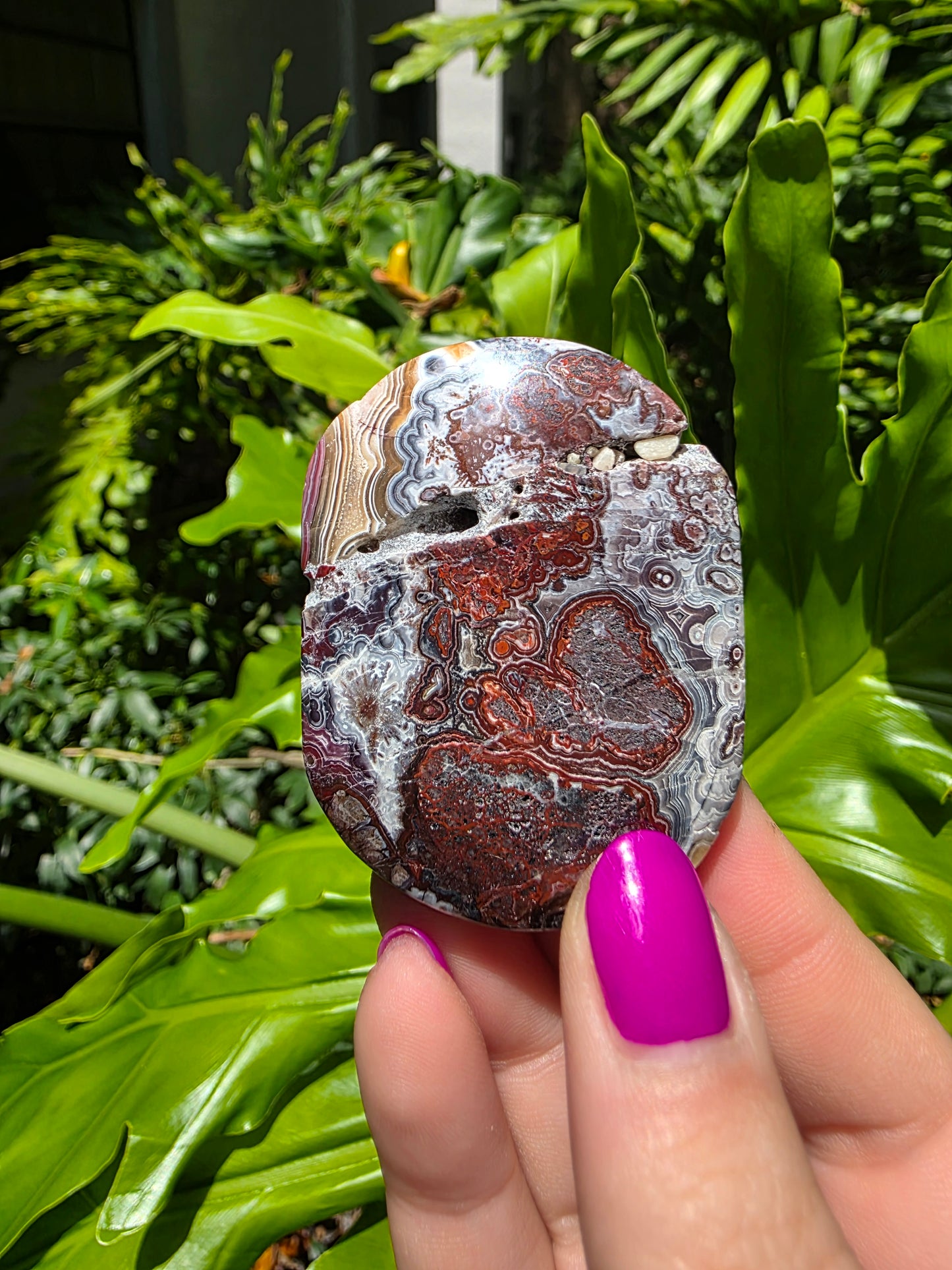 Red Mexican Crazy Lace Agate Palm Stone [E]