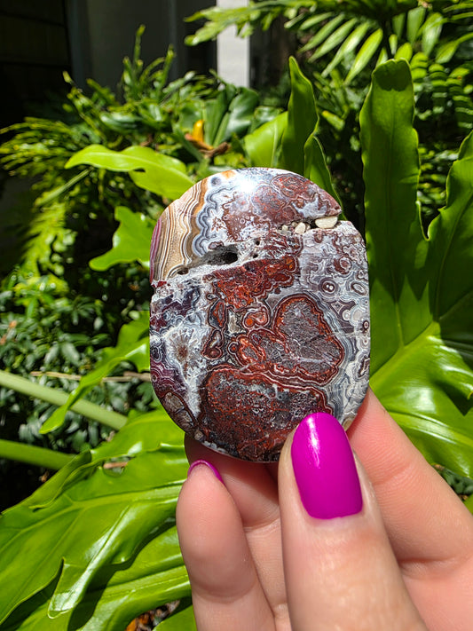 Red Mexican Crazy Lace Agate Palm Stone [E]