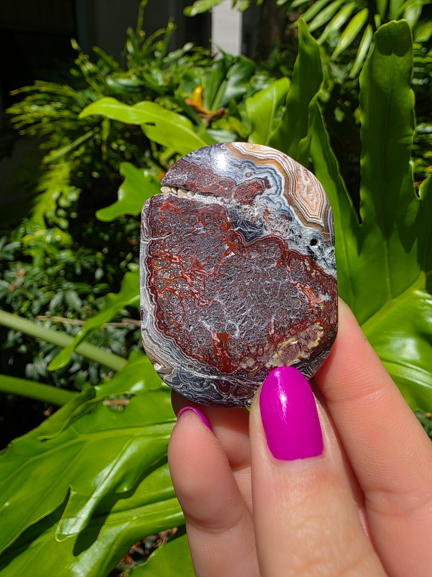 Red Mexican Crazy Lace Agate Palm Stone [E]