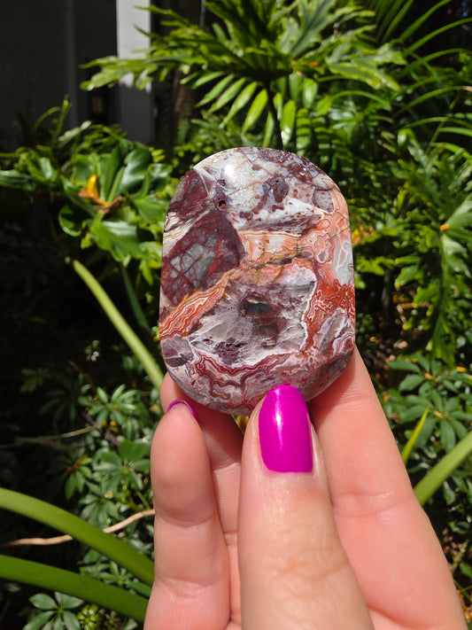 Red Crazy Lace Agate Palm Stone • Option EE
