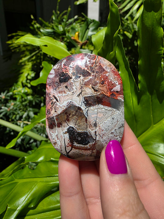 Red Mexican Crazy Lace Agate Palm Stone [F]