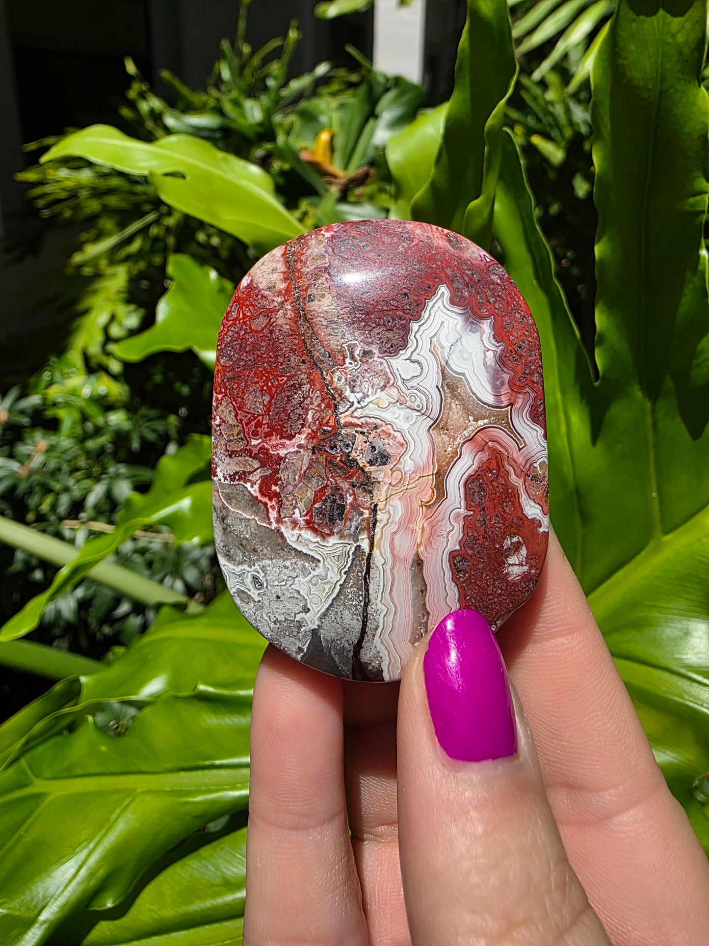 Red Mexican Crazy Lace Agate Palm Stone [F]