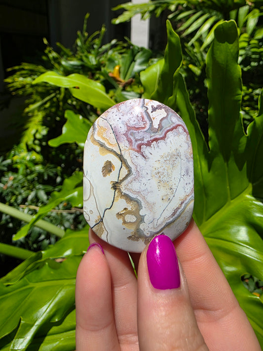 Red Mexican Crazy Lace Agate Palm Stone [G]