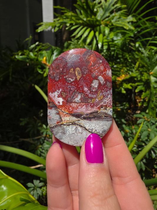 Red Mexican Crazy Lace Agate Palm Stone [GG]