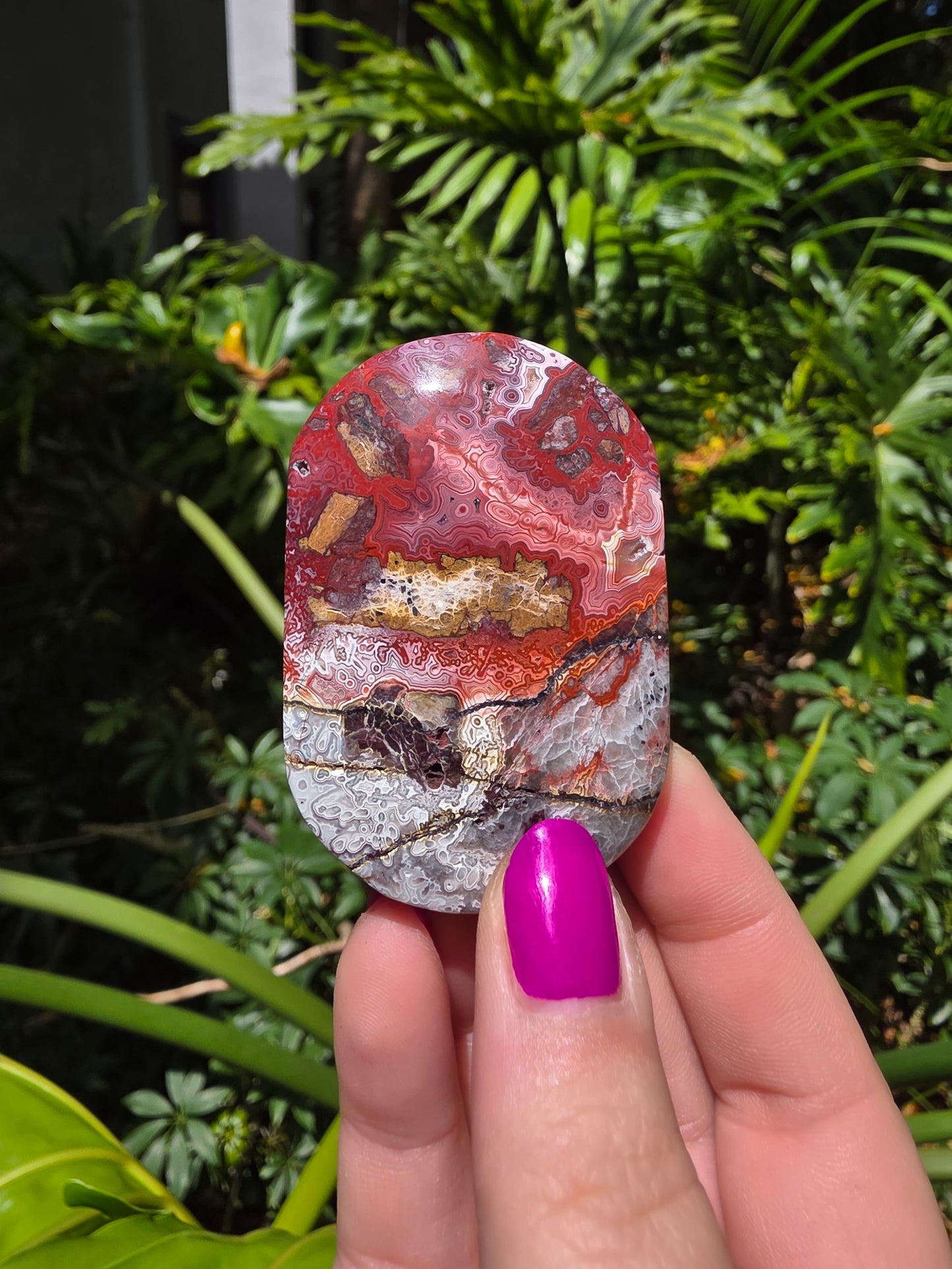 Red Mexican Crazy Lace Agate Palm Stone [GG]
