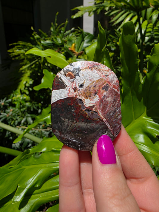 Red Mexican Crazy Lace Agate Palm Stone [H]