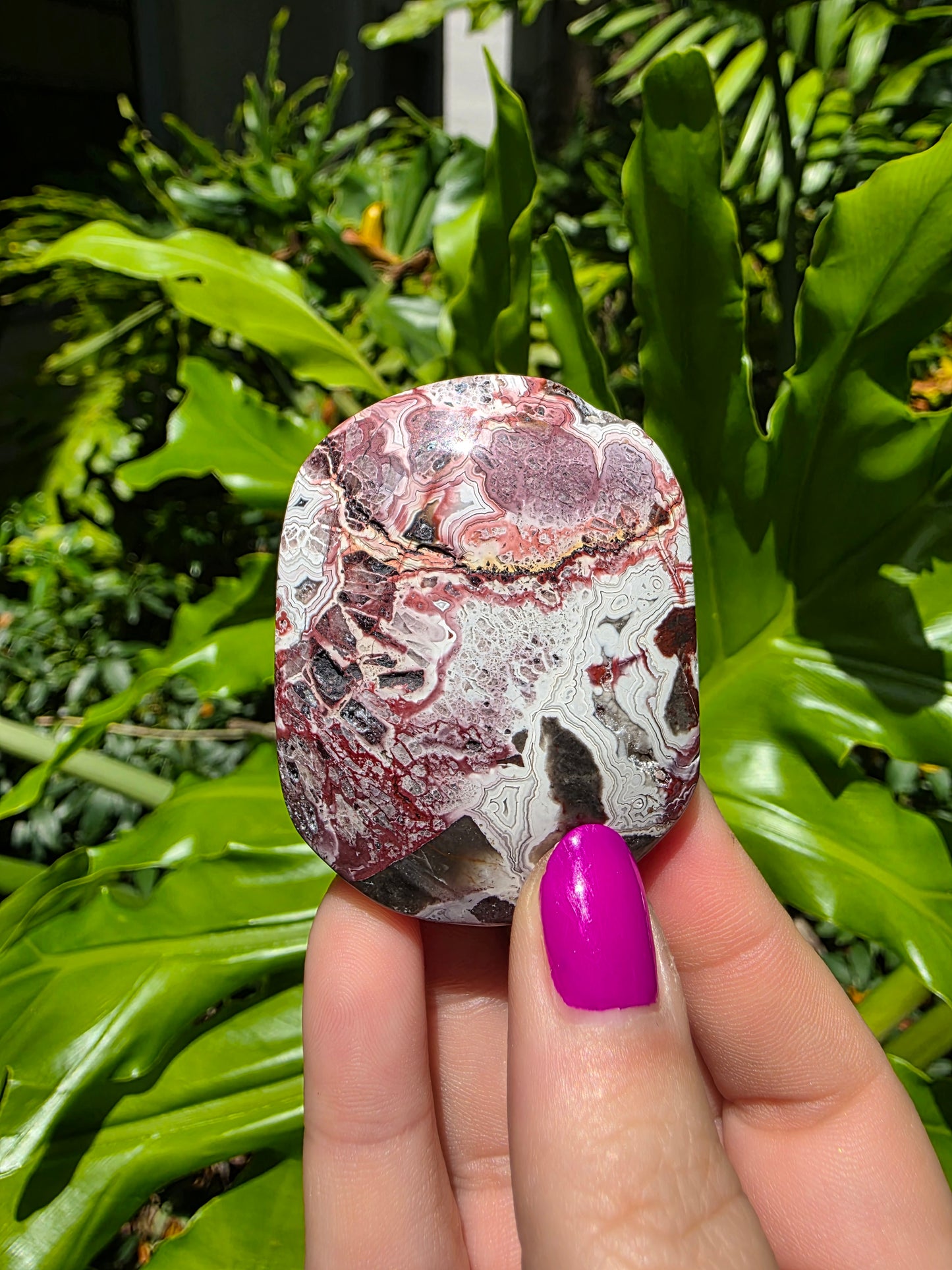 Red Mexican Crazy Lace Agate Palm Stone [H]