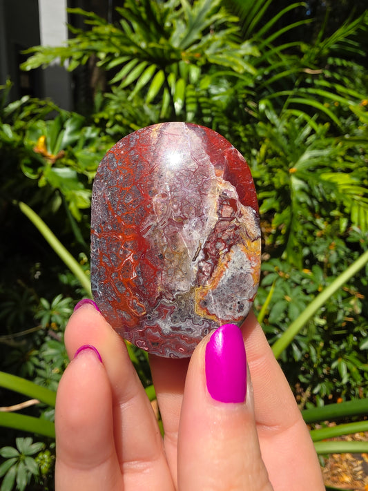 Red Mexican Crazy Lace Agate Palm Stone [HH]
